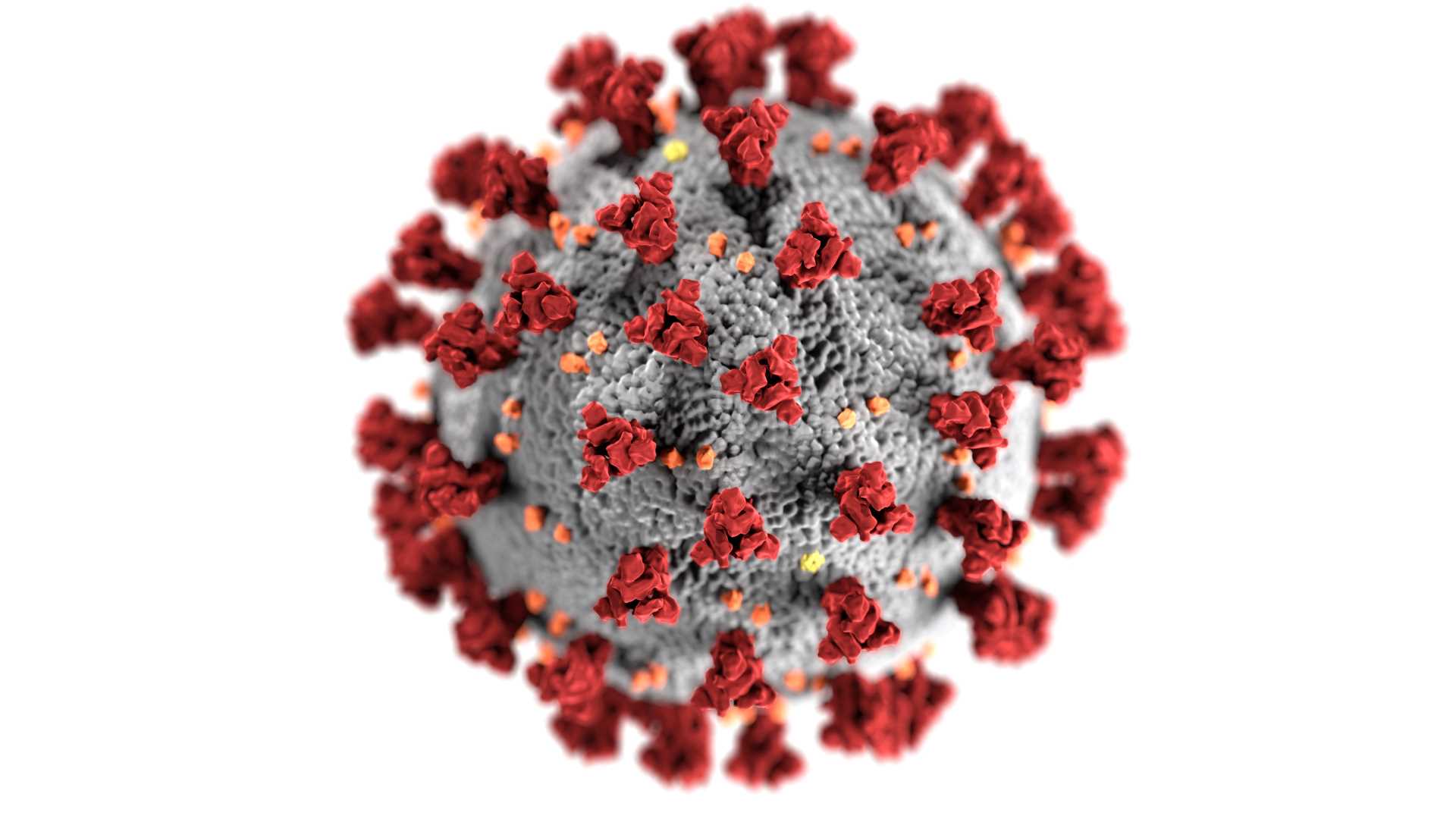 Coronavirus, emergee e i suoi clienti